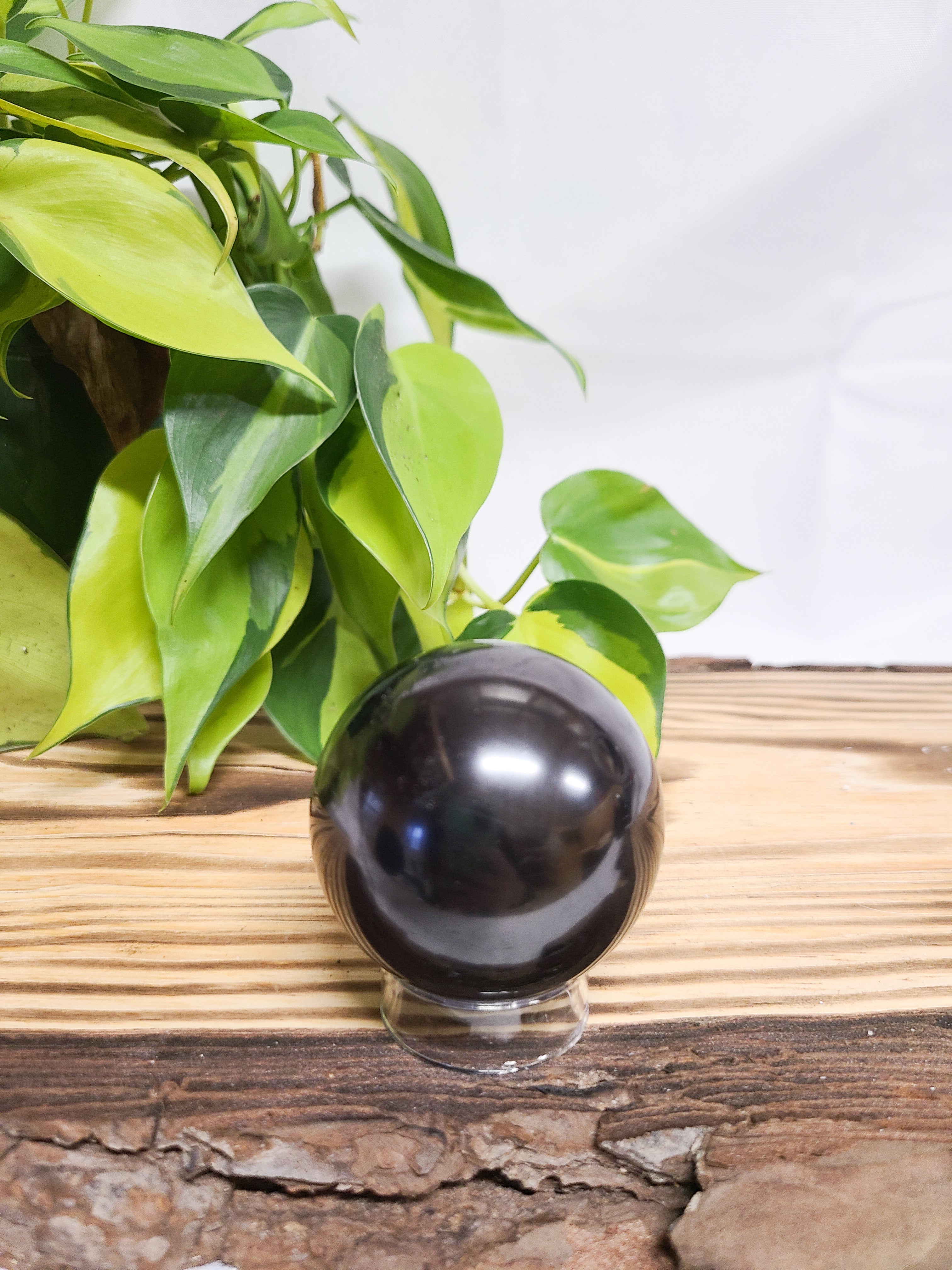 Shungite Sphere