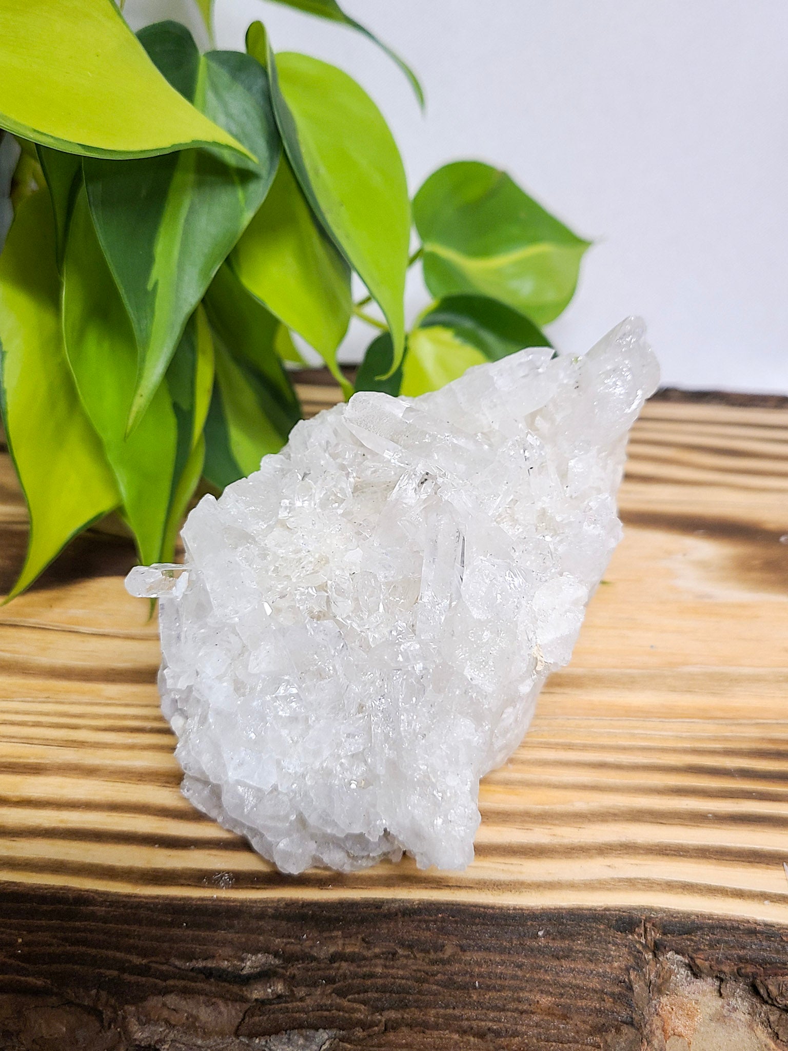 Clear Quartz Cluster