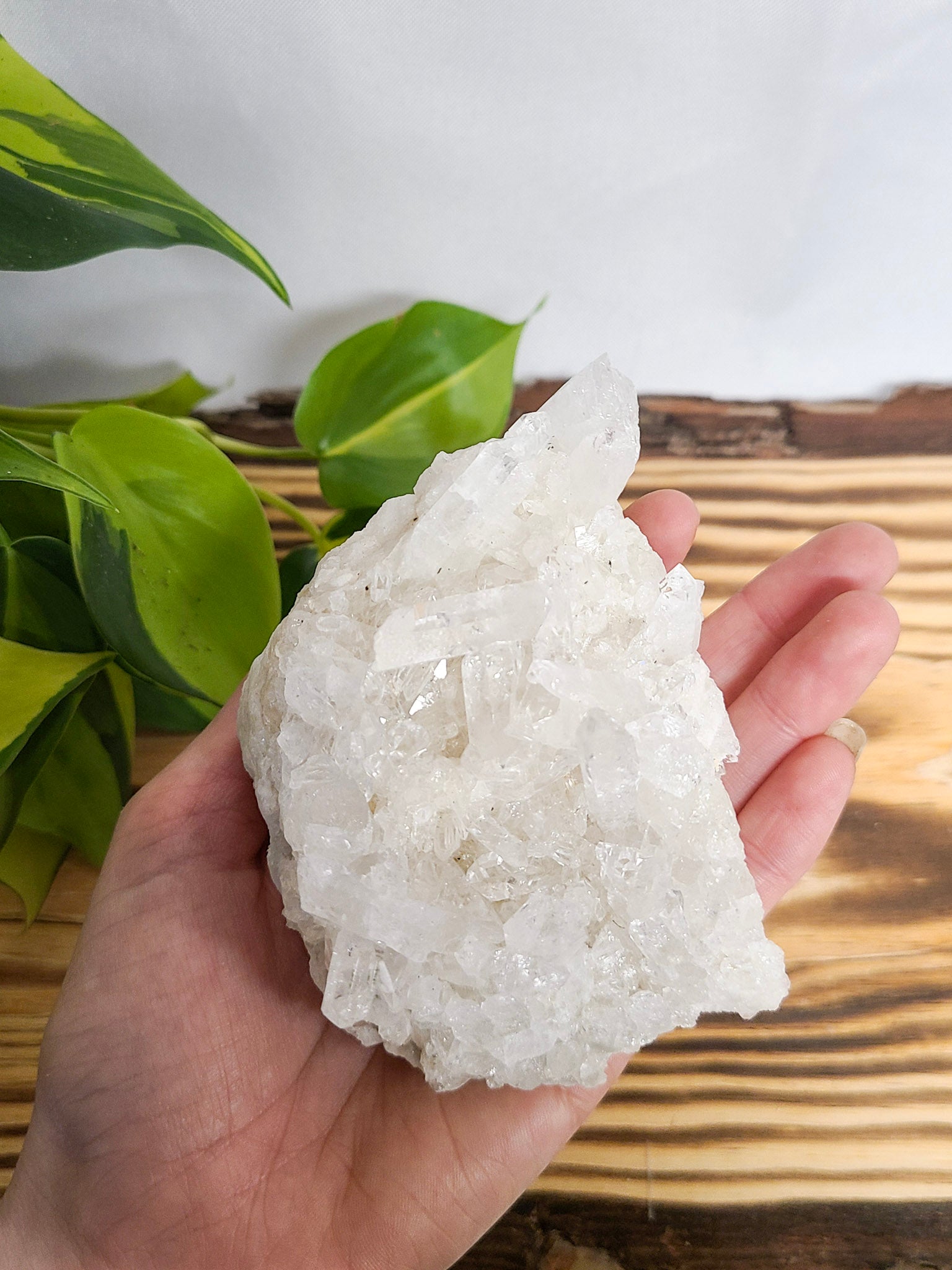 Clear Quartz Cluster