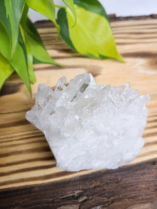 Clear Quartz Cluster