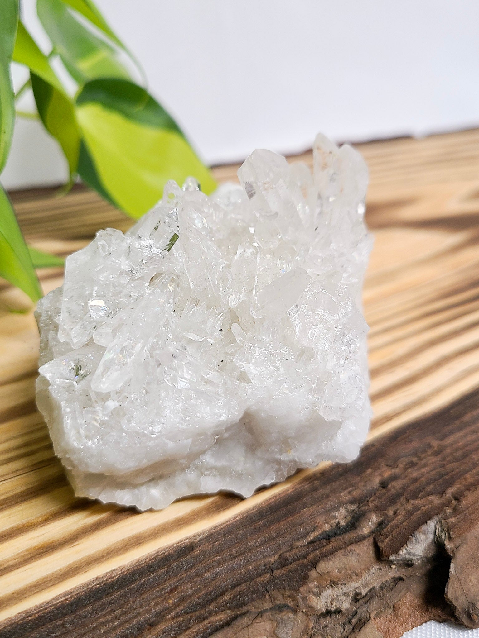 Clear Quartz Cluster